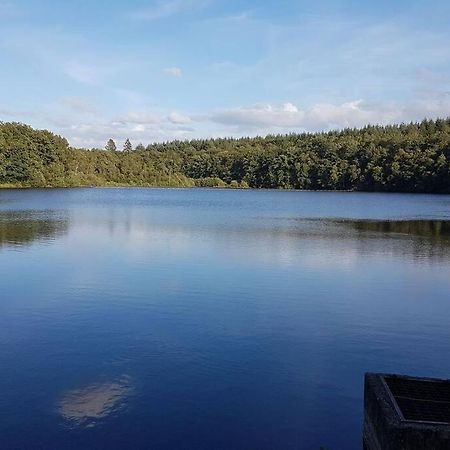 Gite N°4, En Pleine Nature, Frontalier Signy-le-Petit Eksteriør bilde