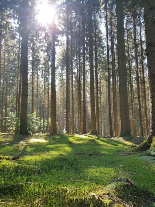 Gite N°4, En Pleine Nature, Frontalier Signy-le-Petit Eksteriør bilde