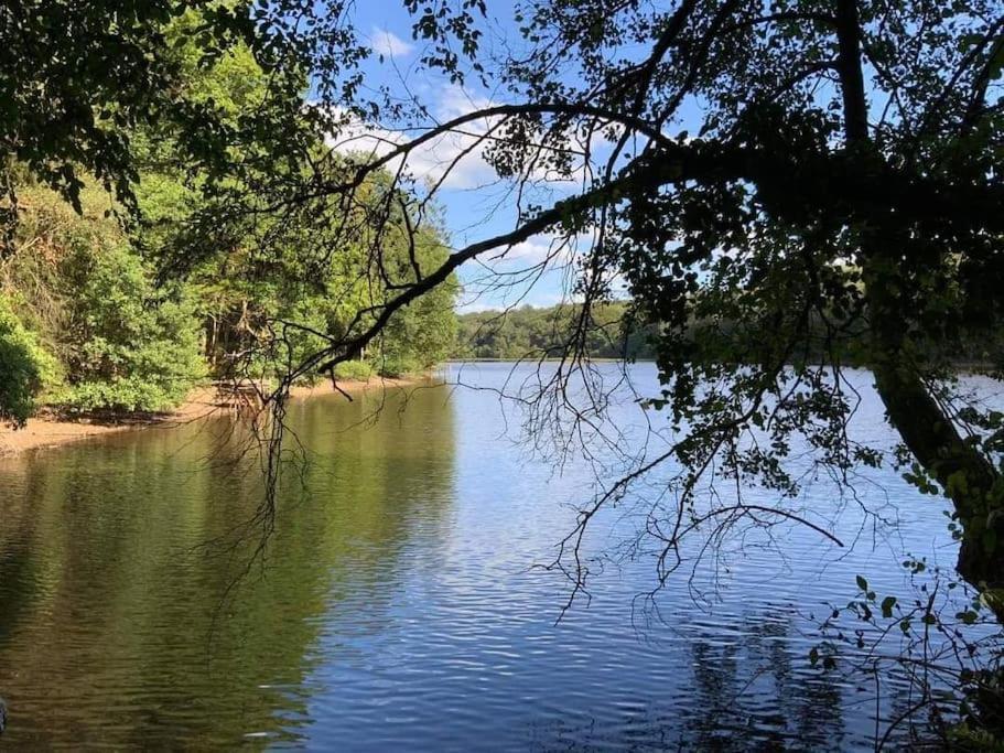 Gite N°4, En Pleine Nature, Frontalier Signy-le-Petit Eksteriør bilde